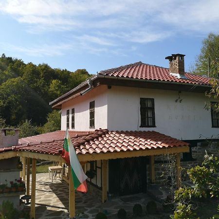 Къща За Гости Ножери Triawna Zewnętrze zdjęcie