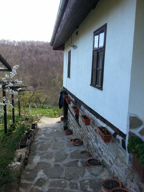 Къща За Гости Ножери Triawna Zewnętrze zdjęcie